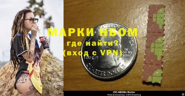 метадон Алексин