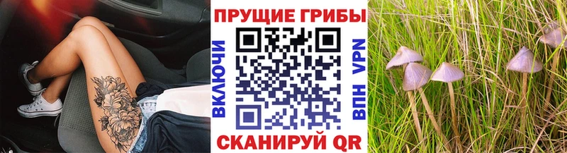 Псилоцибиновые грибы прущие грибы  хочу наркоту  мега как зайти  Нестеров 